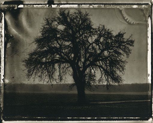 Photo de Sarah Moon tirée par Patrick Toussaint