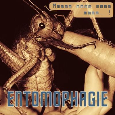 Entomophagie