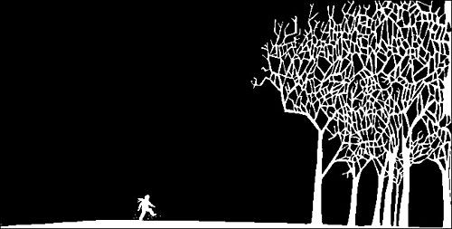 loup noir