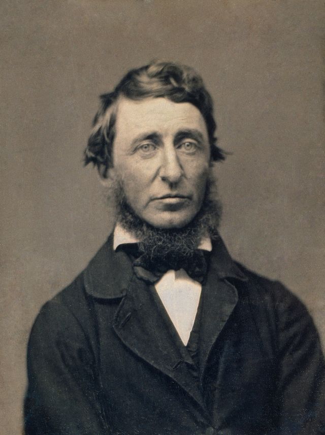 Daguerréotype de Henry David Thoreau par Benjamin D. Maxham en 1856