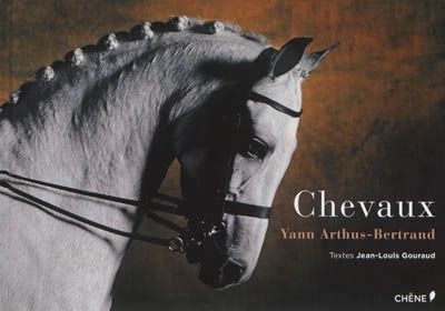 Cheveaux -JL Gouraud et YA Bertrand