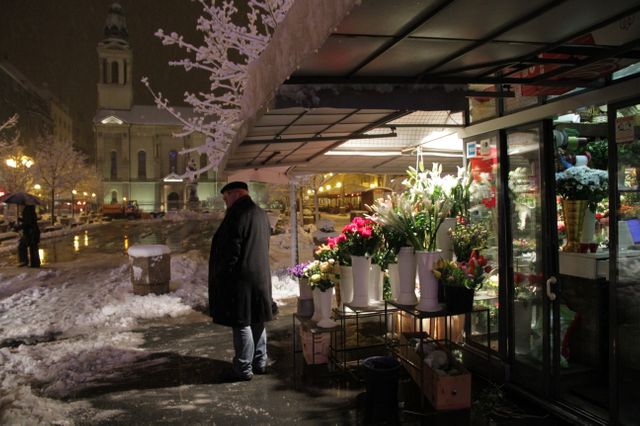 Zagreb sous la neige ce soir, proche de l'Institut français