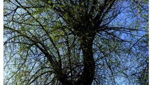 Sélection 3e appel à écriture (7/7)