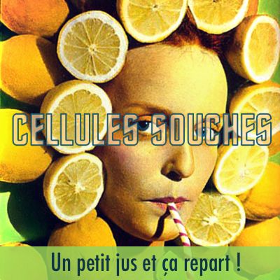 Cellules souches