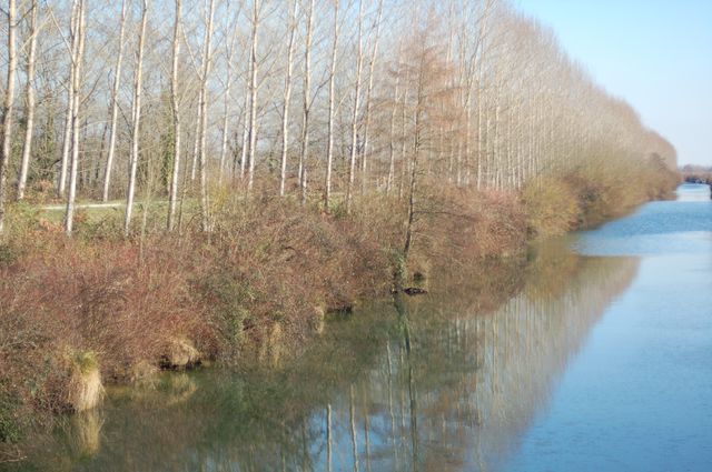 Canal de Garonne