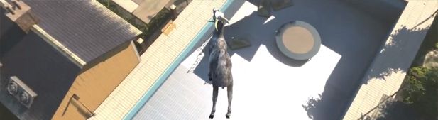 Goat Simulator, le jeu vidéo qui rend chèvre