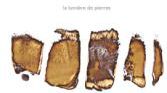 CD Lumières de pierres avec B Delbecq, F Houle et E Parker