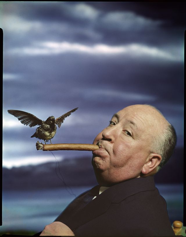 Philippe Halsman, Portrait d’Alfred Hitchcock pour la promotion du film Les Oiseaux, 1962 Musée de l’Elysée