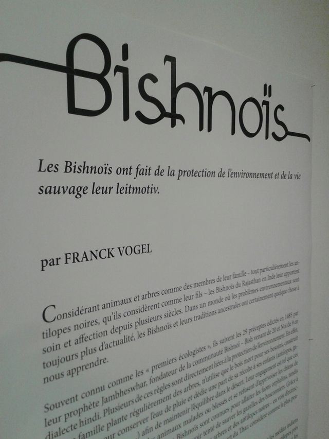 Franck Vogel - Bishnoïs