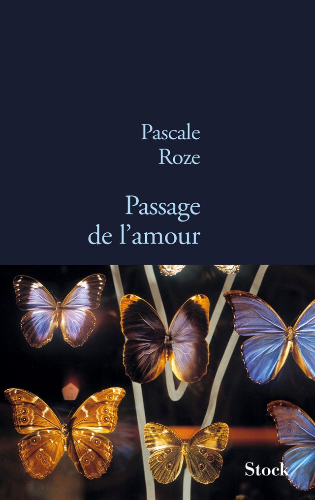 Passage de l’amour » un recueil de nouvelles de Pascale Roze, publié chez Stock