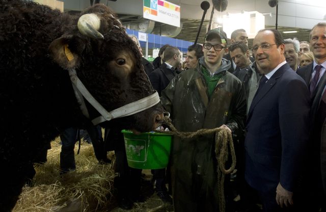 François Hollande au Salon de l'agriculture