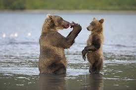 ours