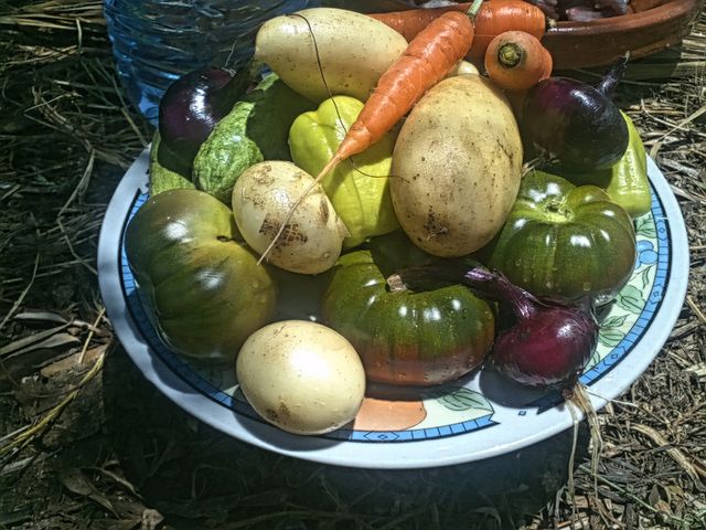 Légumes bio