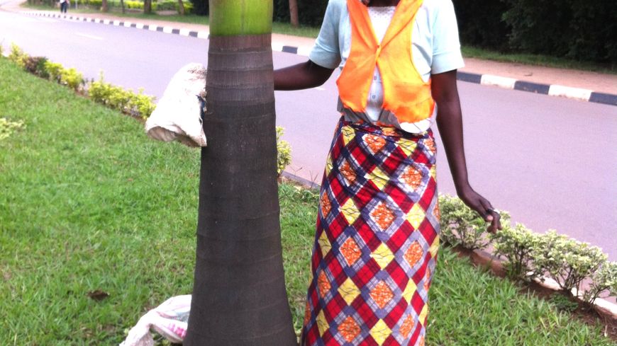 Une femme qui nettoie les troncs d'arbres