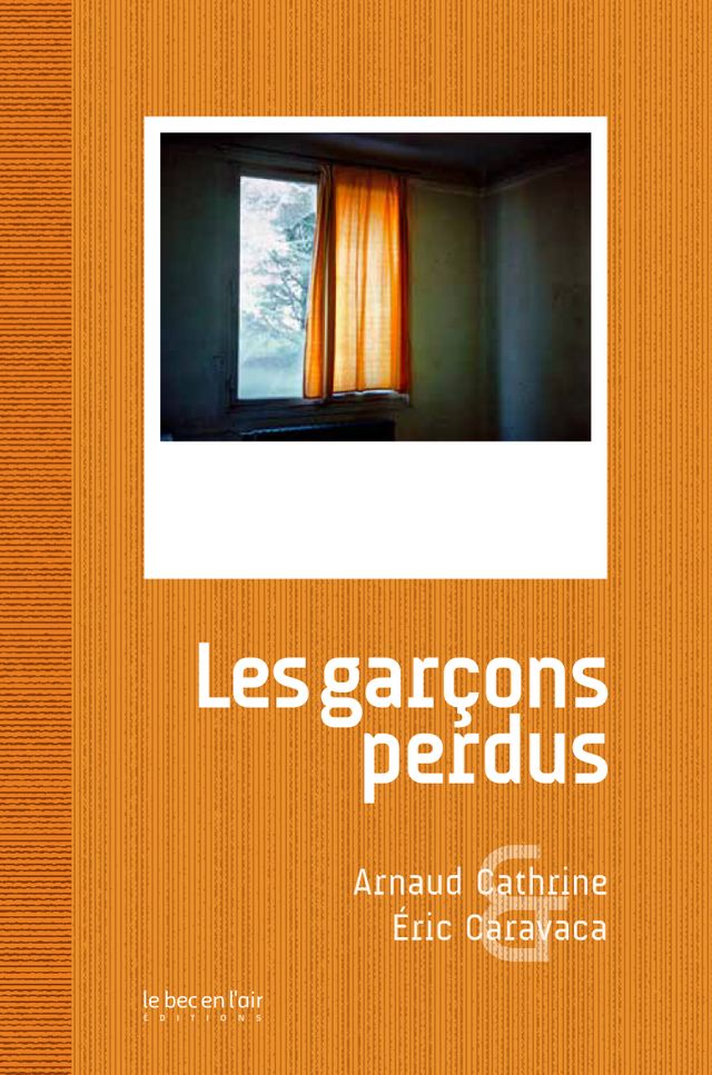 Les garçons perdus