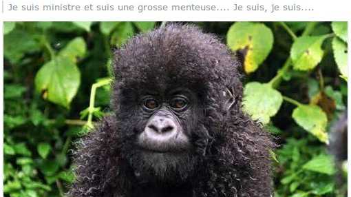 Christiane Taubira comparée à un singe sur le compte Facebook d'une élue de l'Hérault - capture d'écran