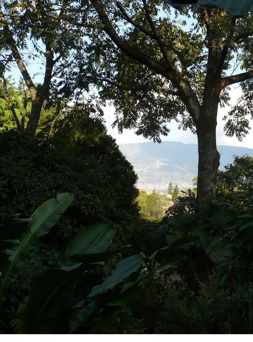 Medellin