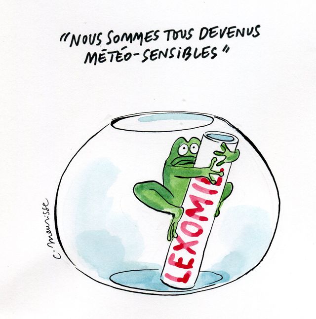 La grenouille et la dépression