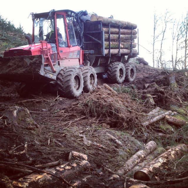 En 2011, la récolte de bois en Limousin représentait 2 millions de mètres cube