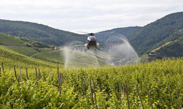 Epandage sur des vignes