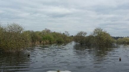 Marais de Mazerolles sur l'Erdre aux portes de Nantes - Site Natura 2000