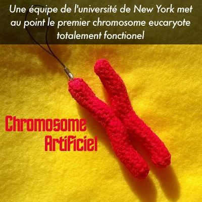 Chromosome artificiel