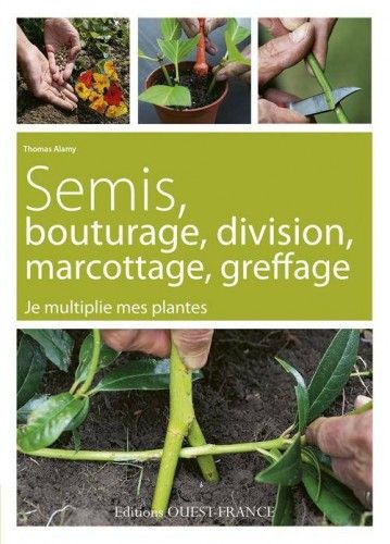 semis, bouturage, division, marcottage, greffage