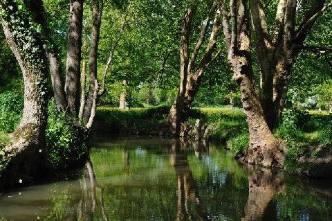 Marais poitevin