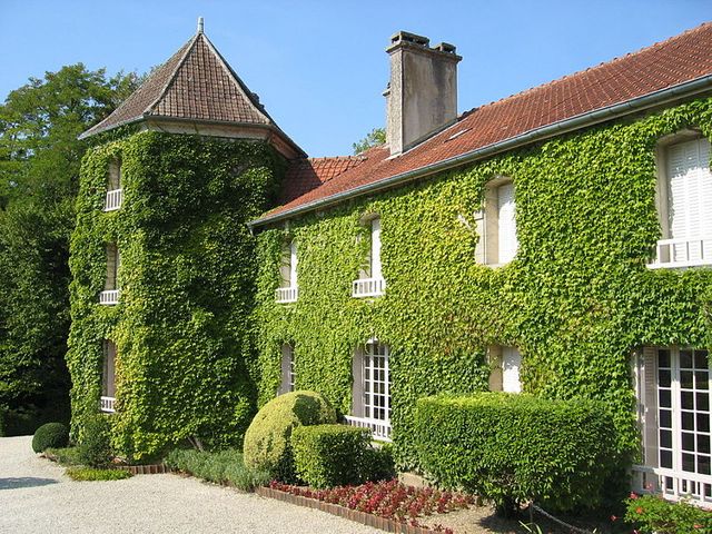 Colombey-les-deux-Églises, la Boisserie