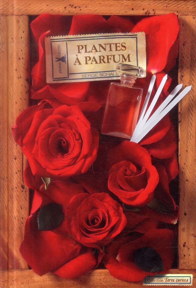 plantes à parfum