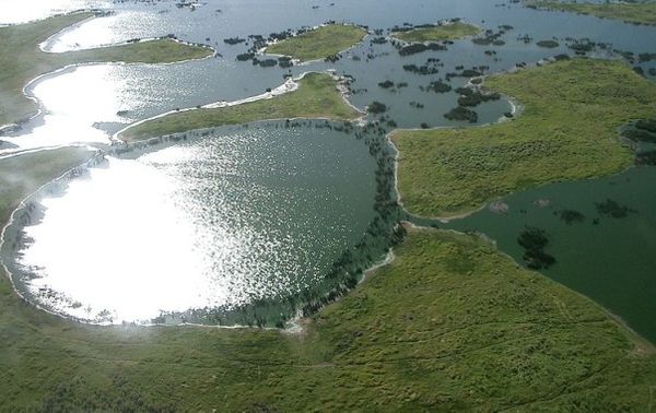 Le Pantanal DR