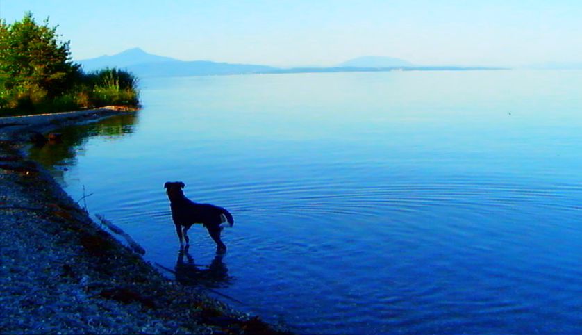 Adieu au langage de Jean-Luc Godard