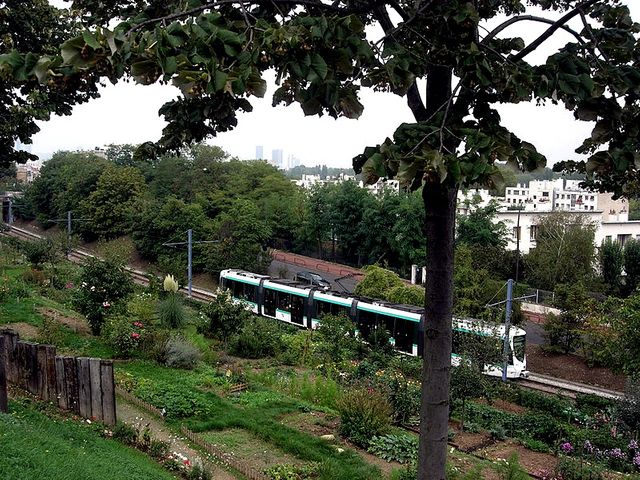 Jardins ouvriers le long du tramway à Saint-Cloud, dans les Hauts-de-Seine (92)