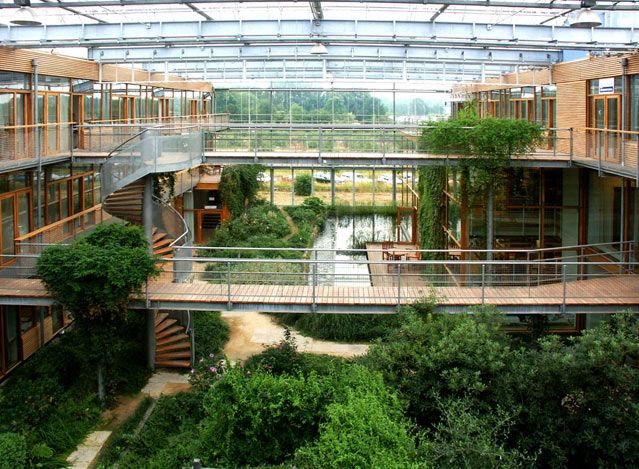 Institut de recherche sur la forêt et la nature-IBN Stefan Behnisch, Wageningen, Pays-Bas (1993 - 1998) - Maître d’ouvrage :