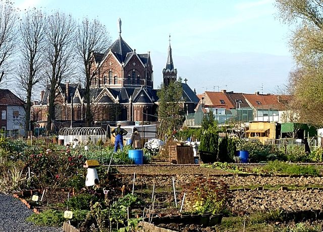 Jardins ouvriers à Wattrelos, dans le Nord (59)