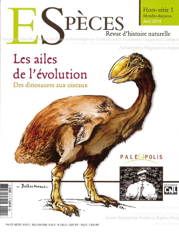 Hors série Espèces