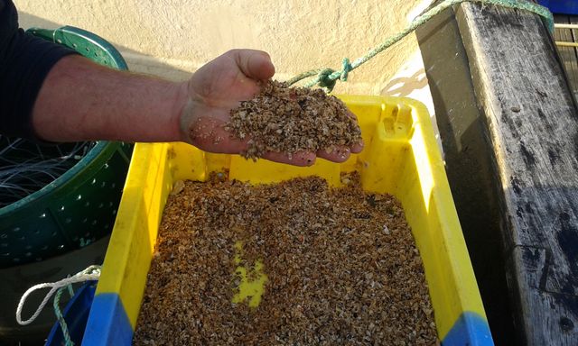 Un exemple de sable coquillier