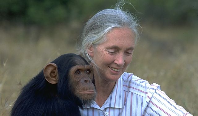 Jane Goodall