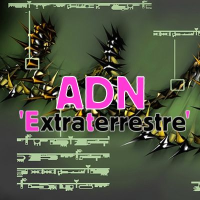ADN extra-terrestre