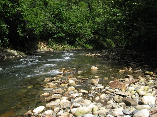 Rivière ariègeoise prés de Massat
