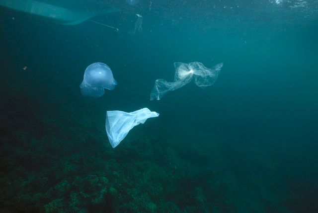 Plastiques dans l'océan