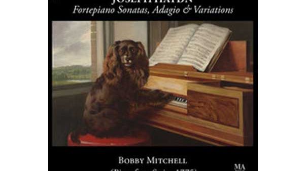 Album Haydn : Fortepiano Sonatas, Adagio & Variations