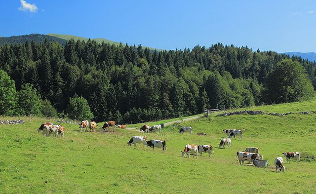 Jura