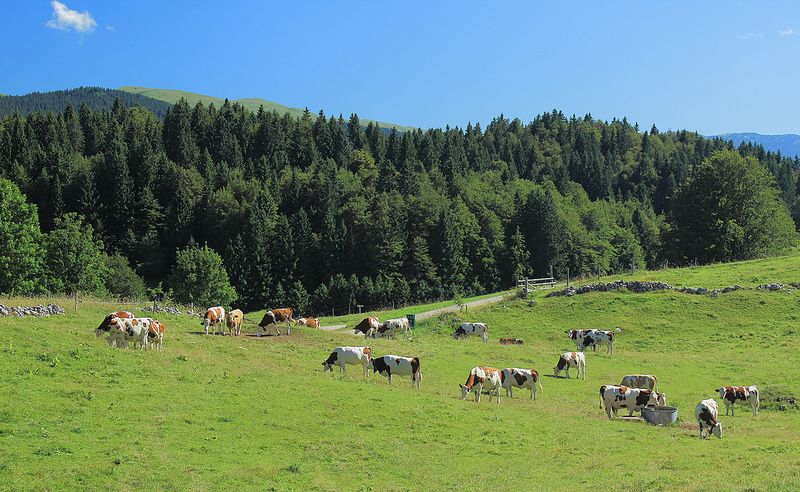 Jura