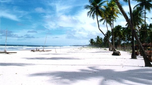 Photo - plage brésilienne