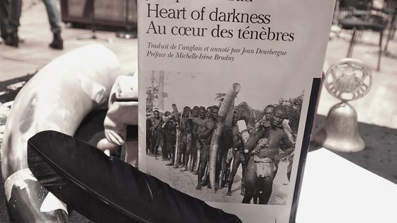 "Au coeur des ténèbres", le livre ©Radio France