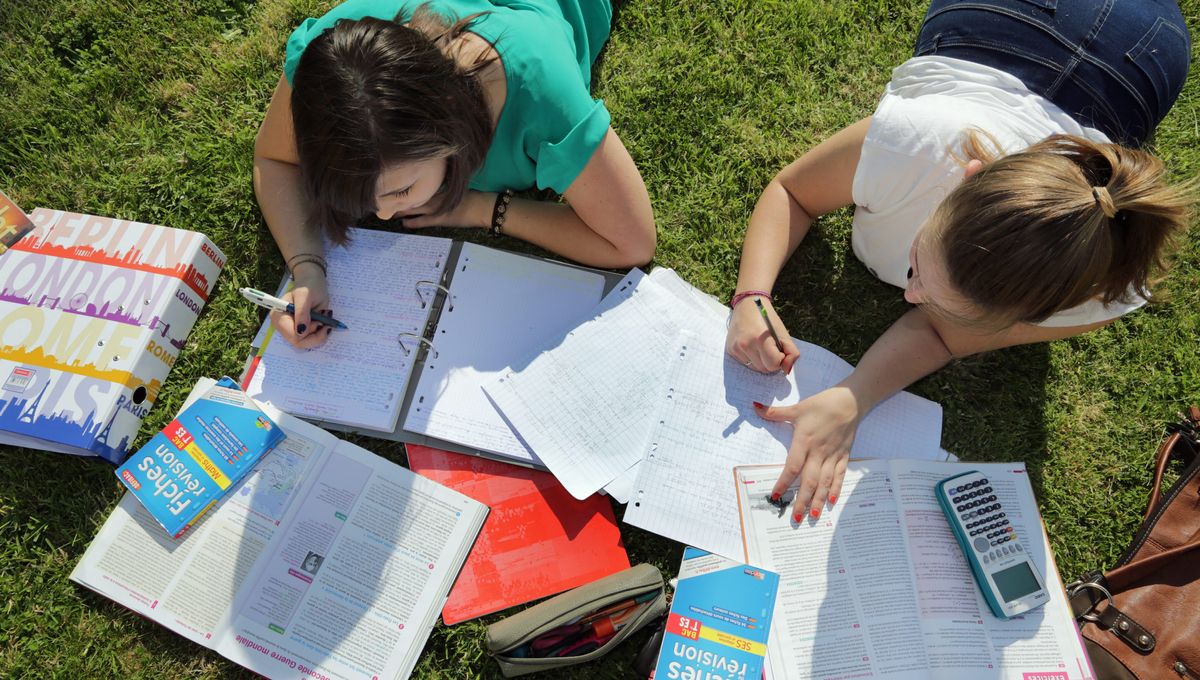 rencontre eckert fiche lecture