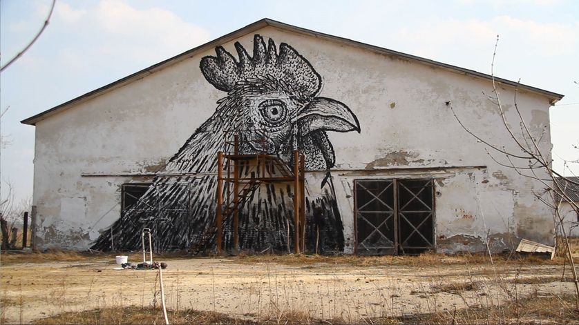 Zoo Project, Ukraine 2012