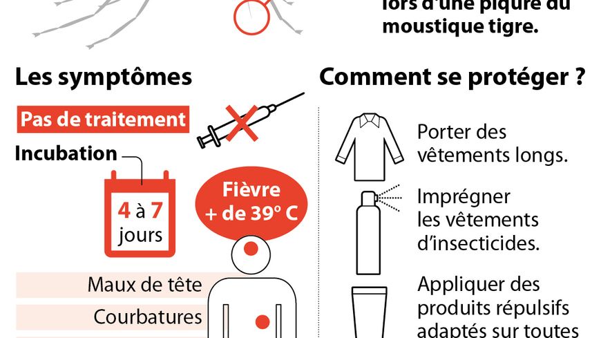 Les symptômes du Cikungunya