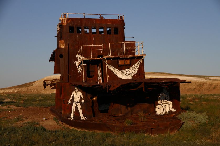 Zoo Project, Mer d'Aral, 2012